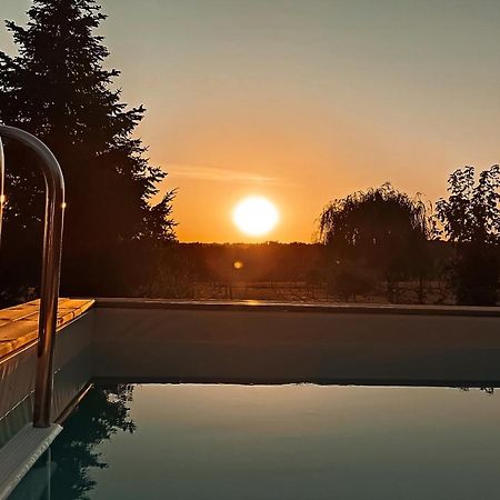 Servignat Cadol'Ain Bed & Breakfast エクステリア 写真