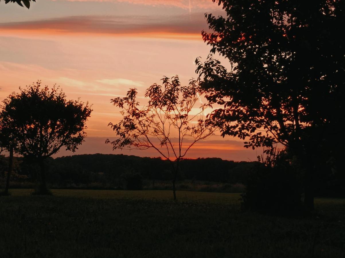Servignat Cadol'Ain Bed & Breakfast エクステリア 写真
